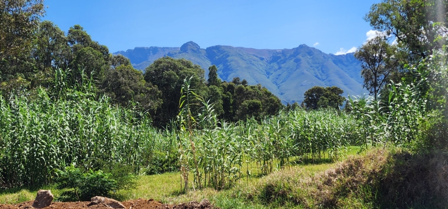 0 Bedroom Property for Sale in Swellendam Western Cape